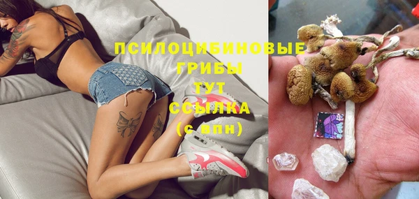 ГАЛЛЮЦИНОГЕННЫЕ ГРИБЫ Абинск